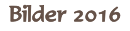 Bilder 2016